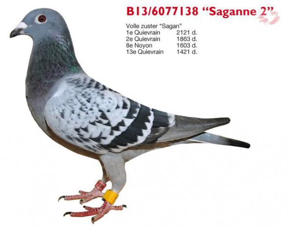 B13- 6077138 Saganne 