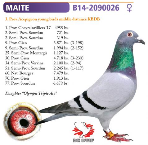 BE14-2090026 "Maite"