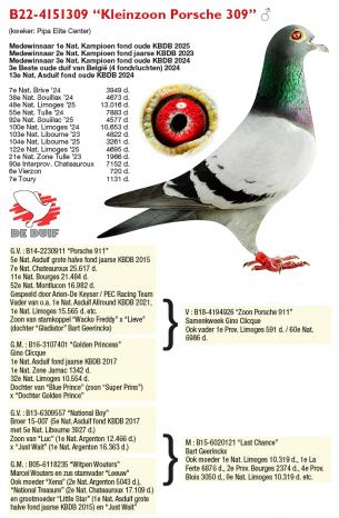 B22-4151309 “Kleinzoon Porsche 309” B22-4151309 “Kleinzoon Porsche 309”