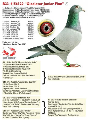 B23-4156320 “Gladiator Junior Finn” B23-4156320 “Gladiator Junior Finn”