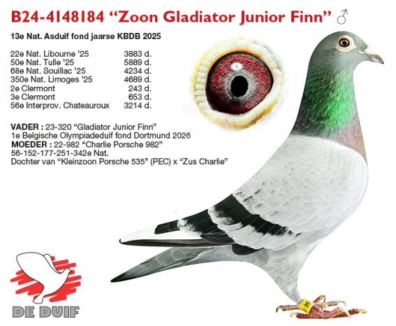 B24-4148184 “Zoon Gladiator Junior Finn” B24-4148184 “Zoon Gladiator Junior Finn”