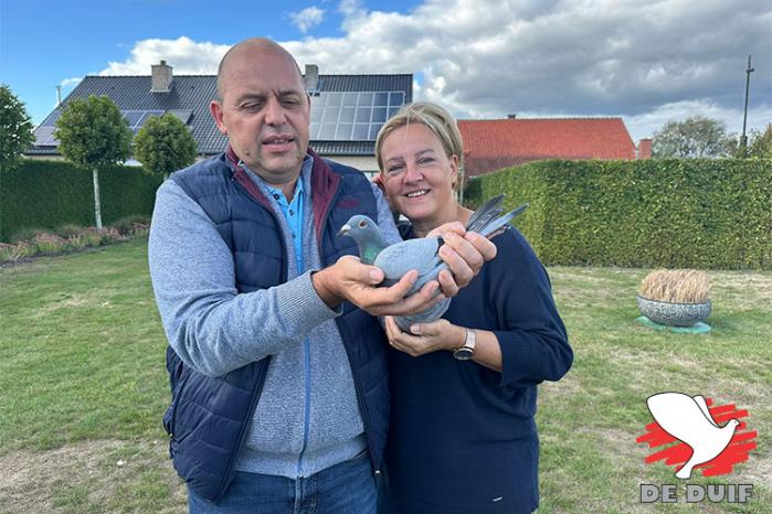 Johan en Martine Boyen uit het Limburgse Binderveld pakken de winst op de afsluitende nationale vlucht van het jaar en hebben tevens de snelste van alle 13.213 Bourges-vliegers!