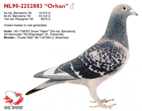 NL90-2252883 “Orhan”