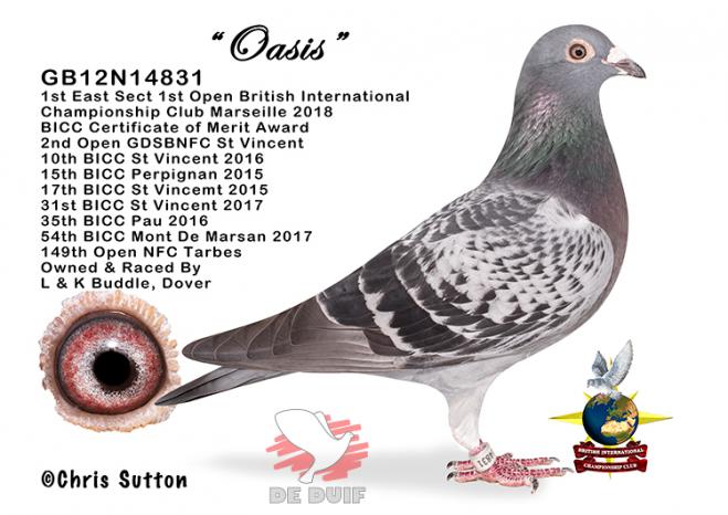 GB12N14831 “Oasis”