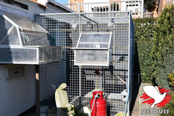 De volière voor het kweekhok met de gasbrander waarmee de bodem en woonbakken bij vochtig weer iedere dag geschroeid worden.