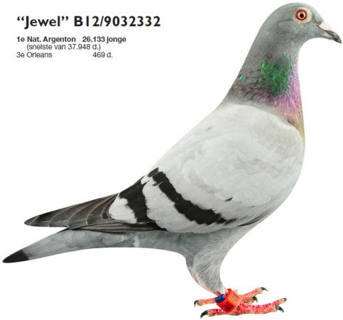 BE12-9032332 "Jewel"