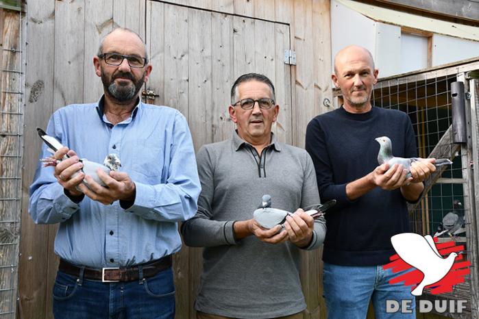 V.l.n.r. Eddy Claes, Walter Devos en Freddy Claes. Eddy Claes bekroonde zijn blitzstart met de titel van 1e Nat. Asduif KBDB kleine halve fond oude.