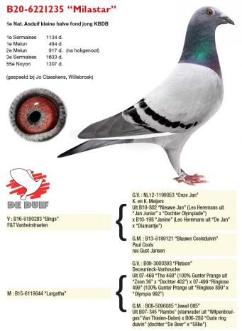 B20-6221235 “Milastar”