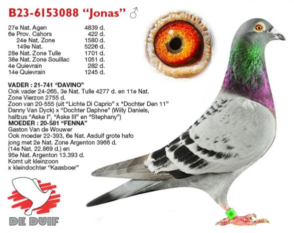 B23-6153088 “Jonas”