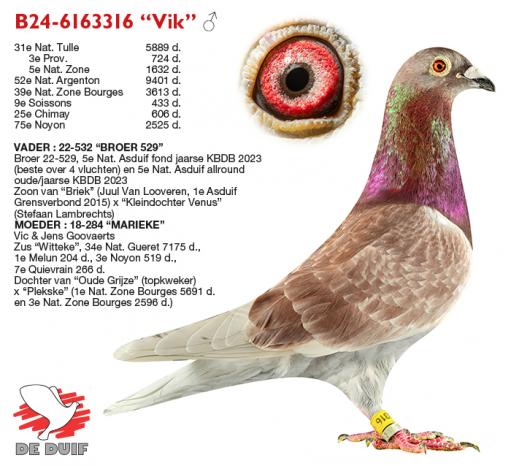 B24-6163316 “Vik”