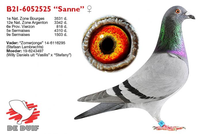 B21-6052525 “Sanne”