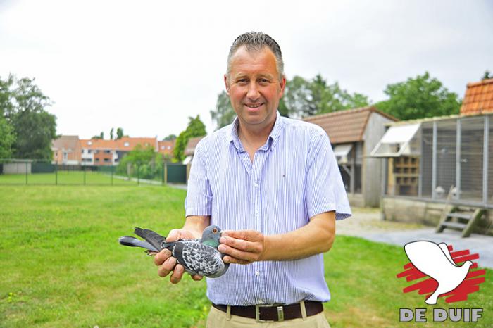 Gino Clicque : Algemeen Prov. Kampioen in West-Vlaanderen. (foto: Yellow Pigeons)