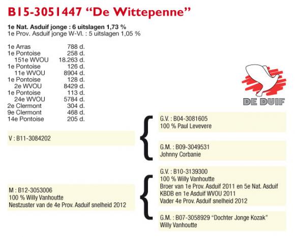 B15-3051447 Wittepenne