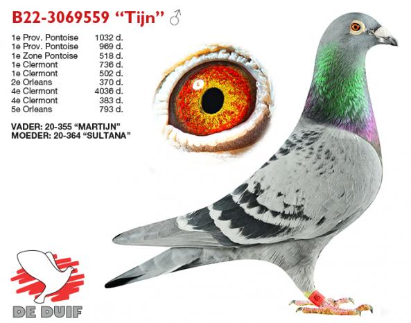 B22-3069559 “Tijn” B22-3069559 “Tijn”