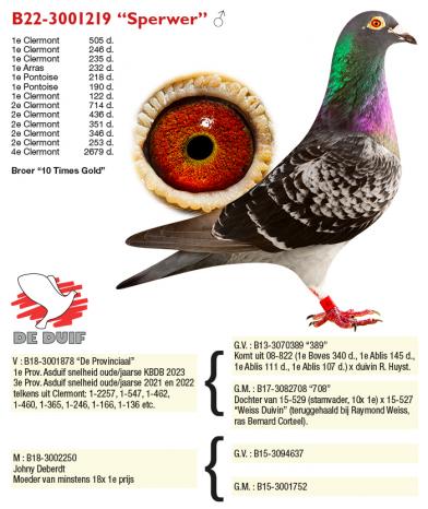 B22-3001219 “Sperwer”