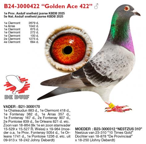 B24-3000422 “Golden Ace422”