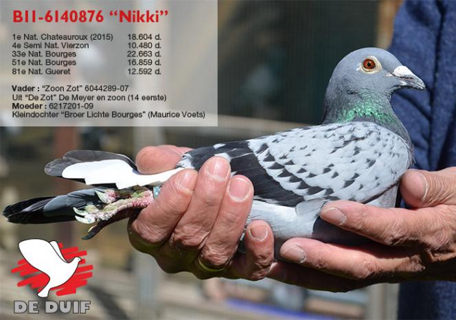 BE11-6140876 “Nikki”