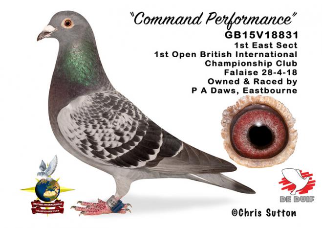 GB15V18831 "Command Performance"