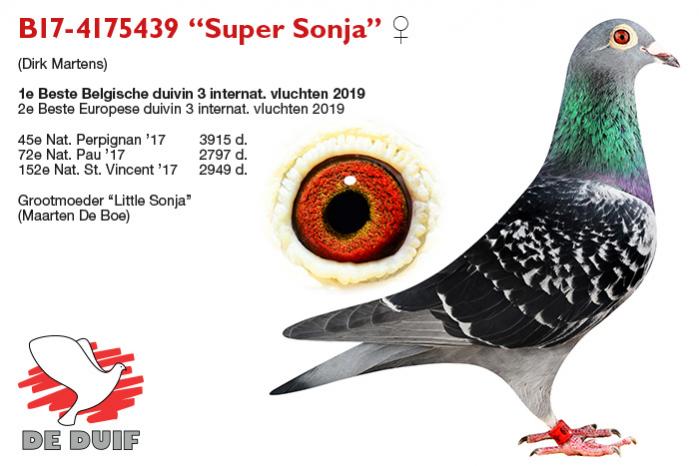 B17-4175439 “Super Sonja”