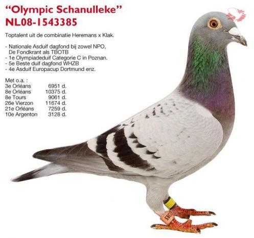 Olympic Schanulleke