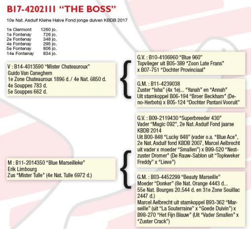 BE17-4202111 "The Boss"