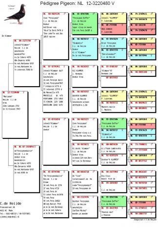 Marianne's pedigree.