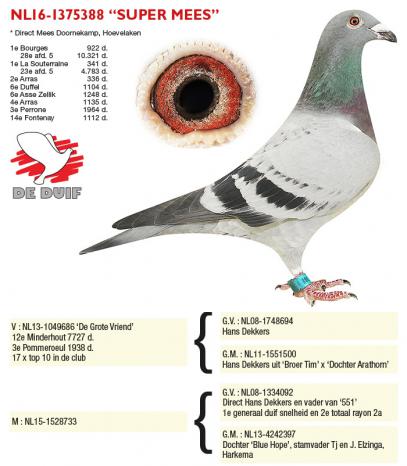 NL16-1375388 “Super Mees”