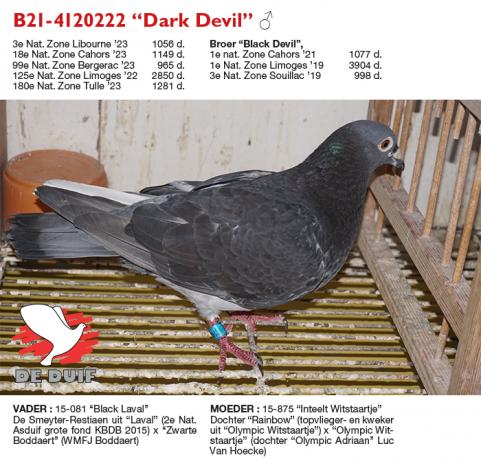 B21-4120222 “Dark Devil”