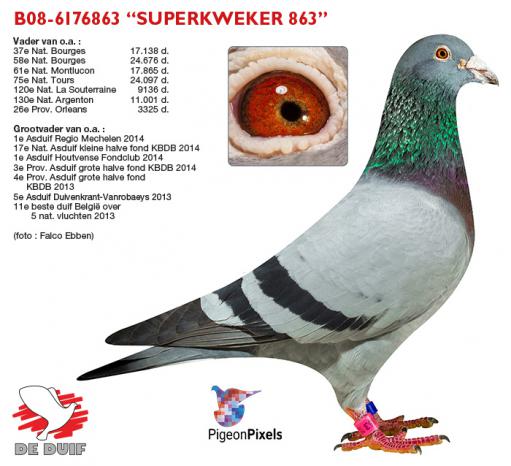 BE08-6176863 "Superkweker 863"