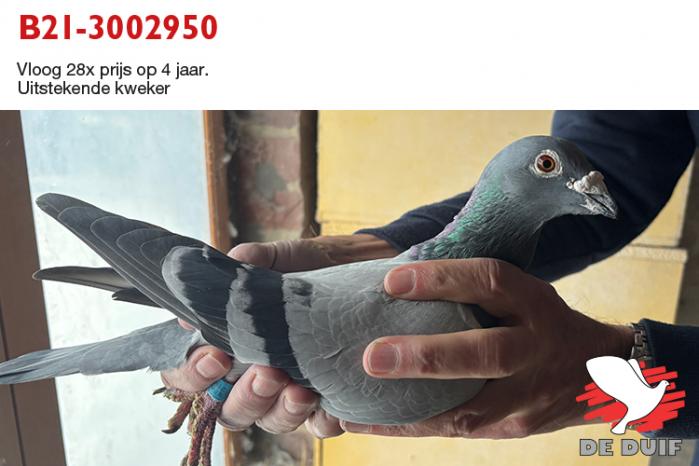 B21-3002950 B21-3002950