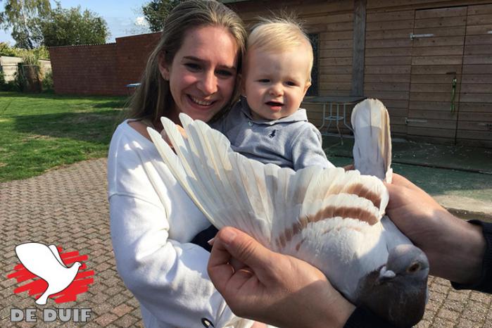 Kleine George is de  mascotte van de duivenkolonie in Mol. Met hem in de buurt wordt er altijd goed gepresteerd.