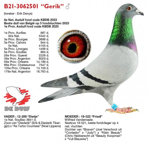 B21-3062501 “Gerik”