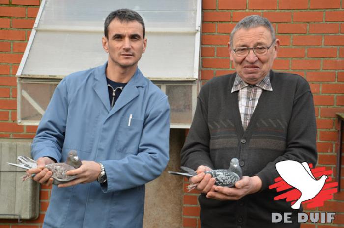 Verzorger Nicu Barbulescu en Hubert Debaene werden Nationaal Kampioen Grote Fond Jaarlingen.