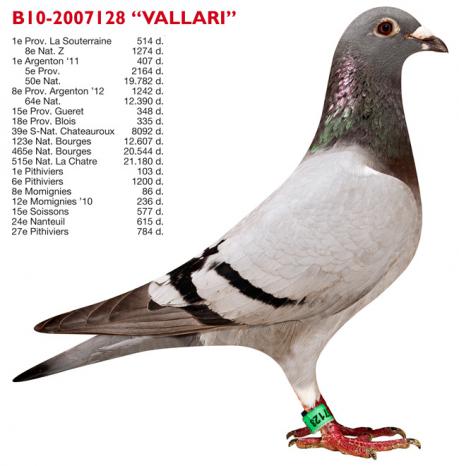 B10-2007128 Vallari