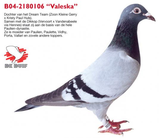 B04-2180106 VALESKA