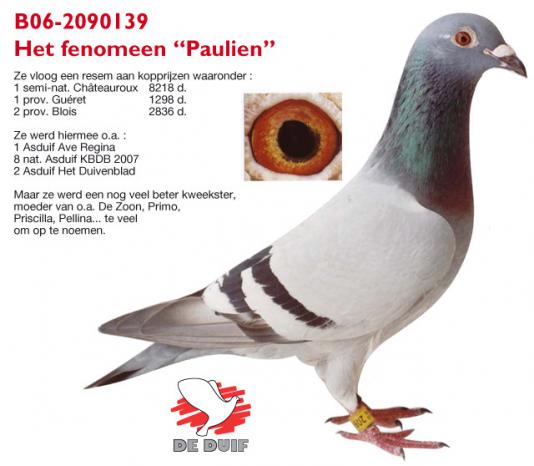B06-2090139 PAULIEN