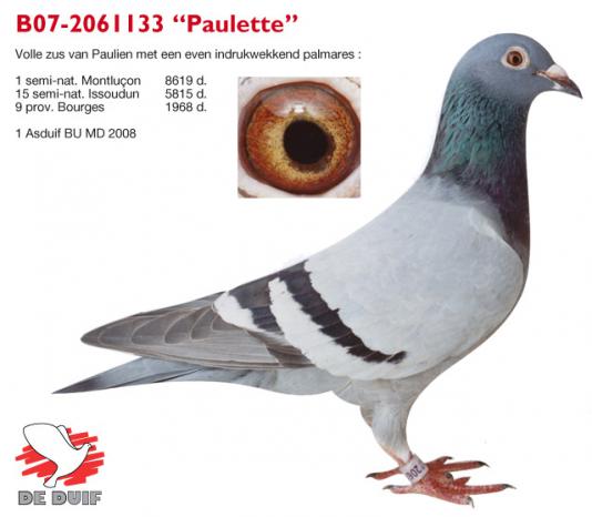 B07-2061133 PAULETTE