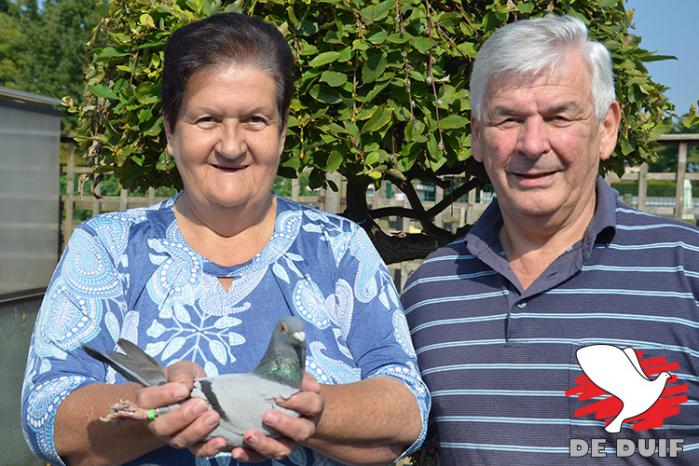 Albert en Francine Derwa-Luxem hebben hun duiven in topvorm.