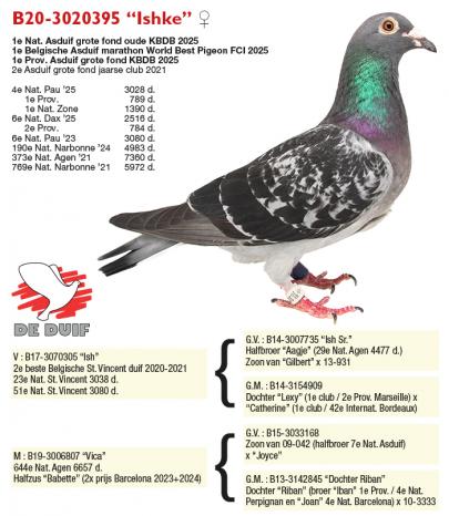 B20-3020395 “Ishke”