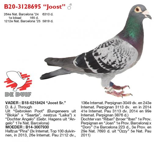 B20-3128695 “Joost”