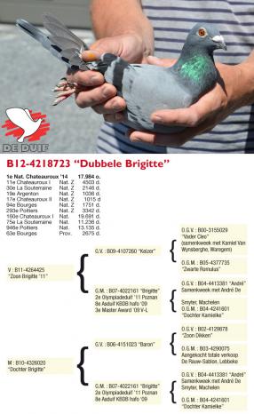B12-4218723 Dubbele Brigitte