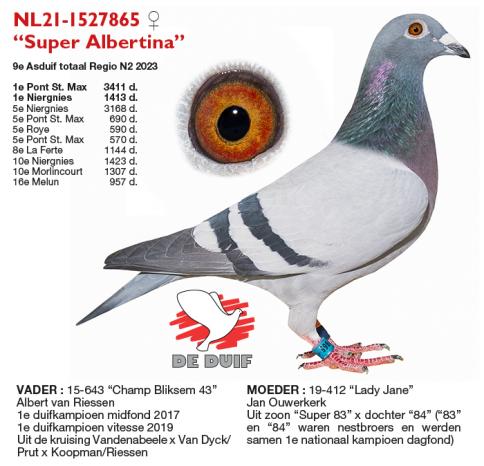 NL21-1527865 “Super Albertina”