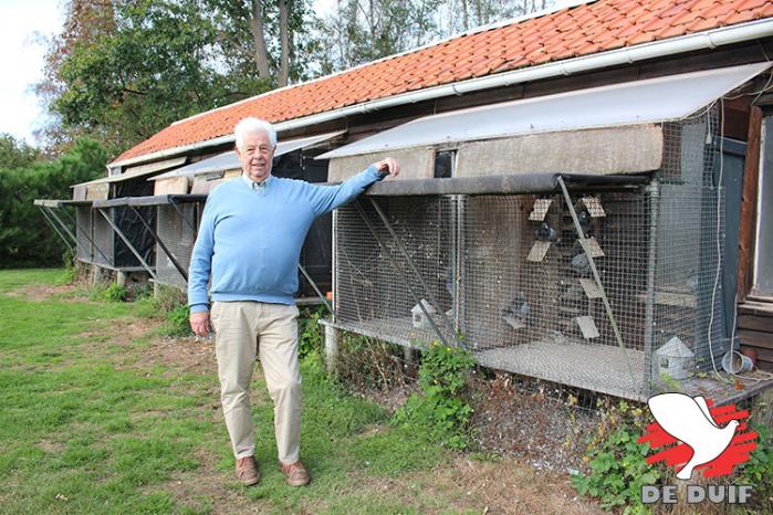 Ludo Engelen lijkt een doorgewinterde duivenmelker, maar zit pas 15 jaar in de duivensport. Ludo Engelen lijkt een doorgewinterde duivenmelker, maar zit pas 15 jaar in de duivensport.