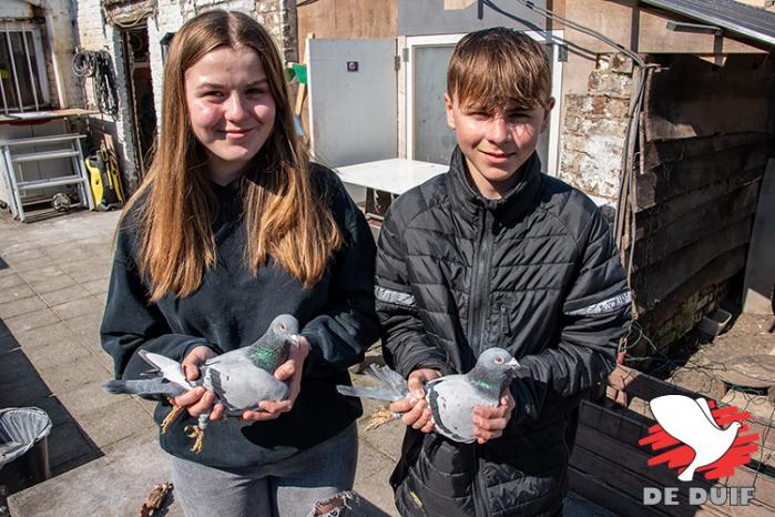 Adela en Daniël wonnen niet alleen de Gouden Duif Junior, ook nationaal stonden ze hun  mannetje met o.a. 2e Nat. Asduif Kleine halve fond jonge duiven KBDB 2020!