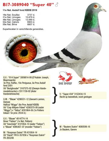 B17-3089040 “Super 40”