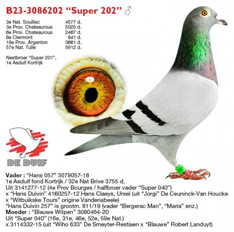 B23-3086202 “Super 202”