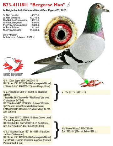 B23-4111811 “Bergerac Man”