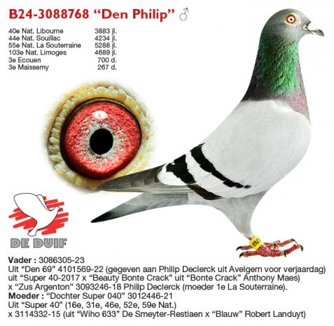 B24-3088768 “Den Philip”