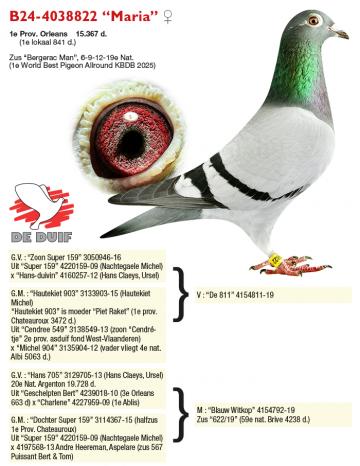B24-4038822 “Maria”