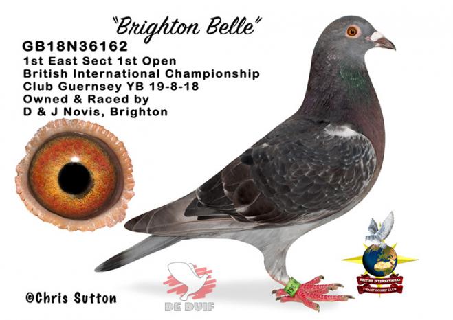 GB18N36162 "Brighton Belle" (Dave & James Novis)